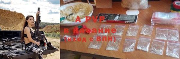 spice Каменногорск