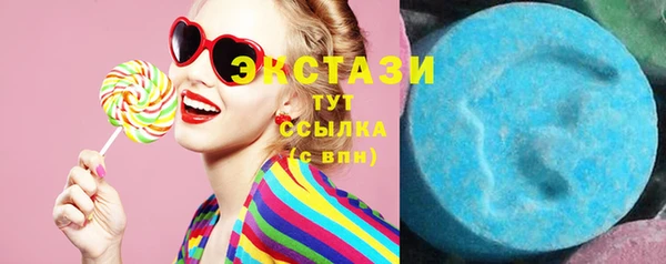 МДПВ Каменка