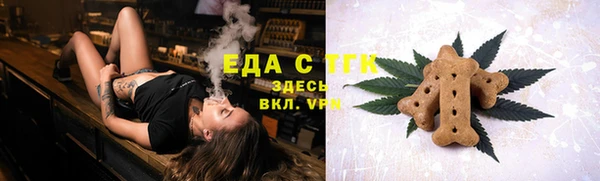 МДПВ Каменка