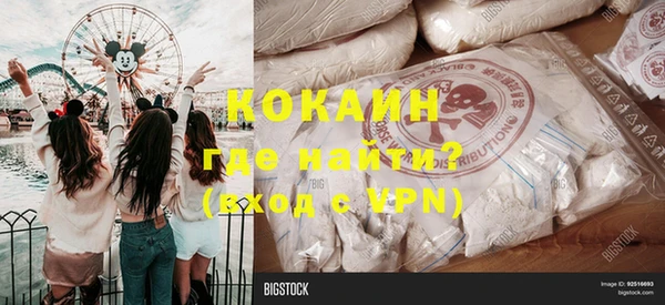 МДПВ Каменка