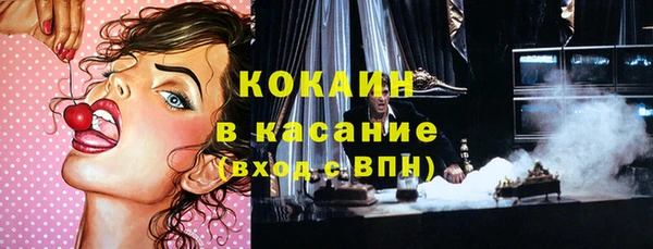 МДПВ Каменка