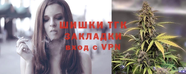 МДПВ Каменка