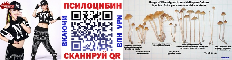 Купить  Дегтярск  Псилоцибиновые грибы Psilocybine cubensis 