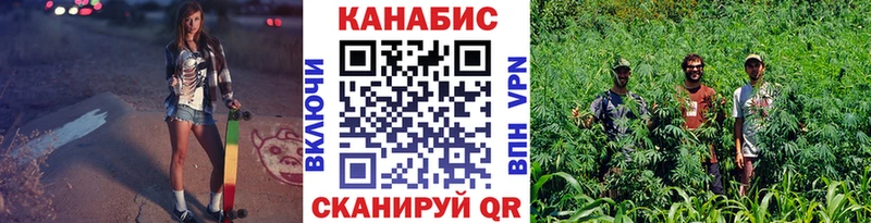 Бошки Шишки план Дегтярск